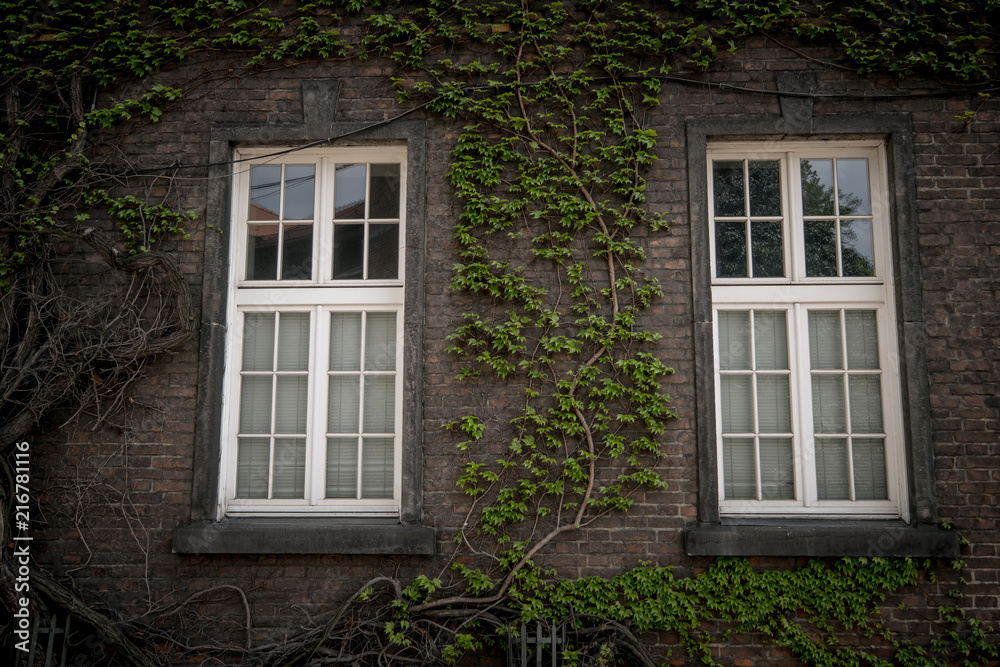 Beautiful old window on a brick wall background of an old house.