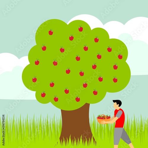 Picking apple fruit illustration
