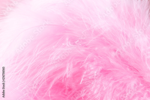 Pink bird feathers in soft and blur style  Fluffy feather background
