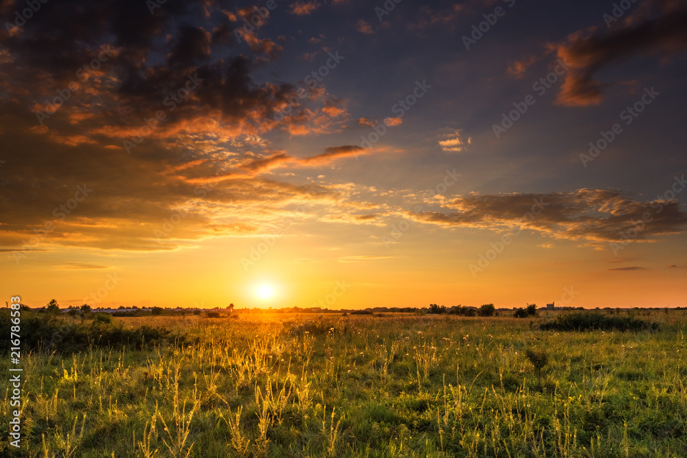 Vibrant sunset over field 