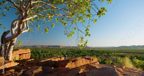 Dolly shot overlooking Kununurra Western Australia at sunset with beautiful tree in foreground.