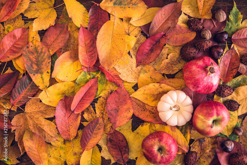 Autumn still life background