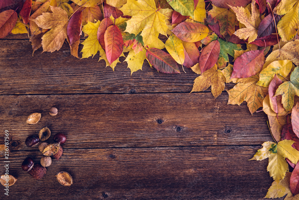 Autumn background, space for text Autumn background, space for text
