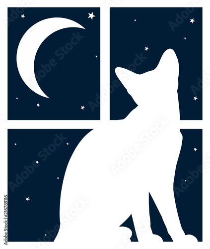 Window with night sky and cat. 