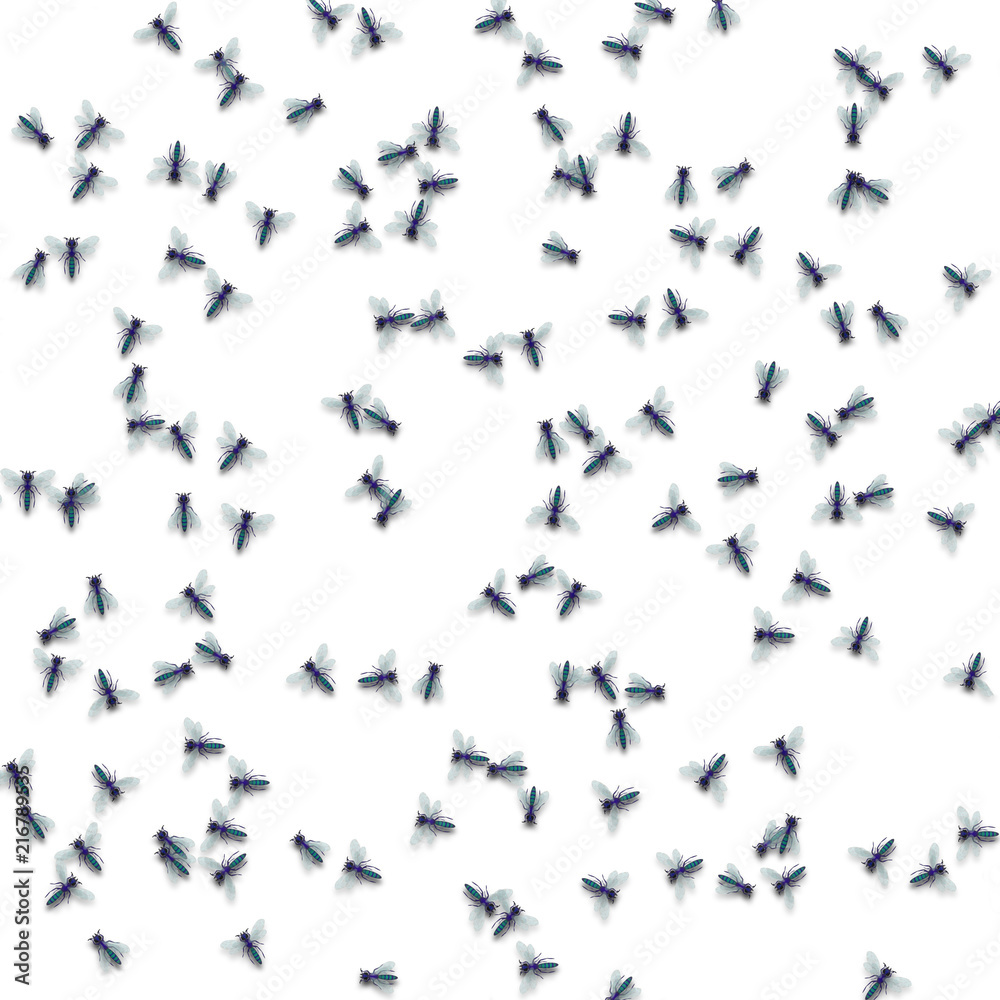 a white background with lots of flies on it a white background with lots of flies on it