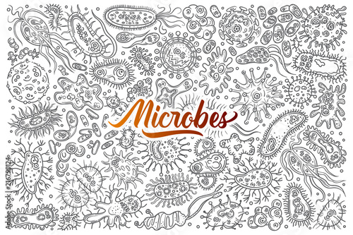 Hand drawn different bacteria and viruses.