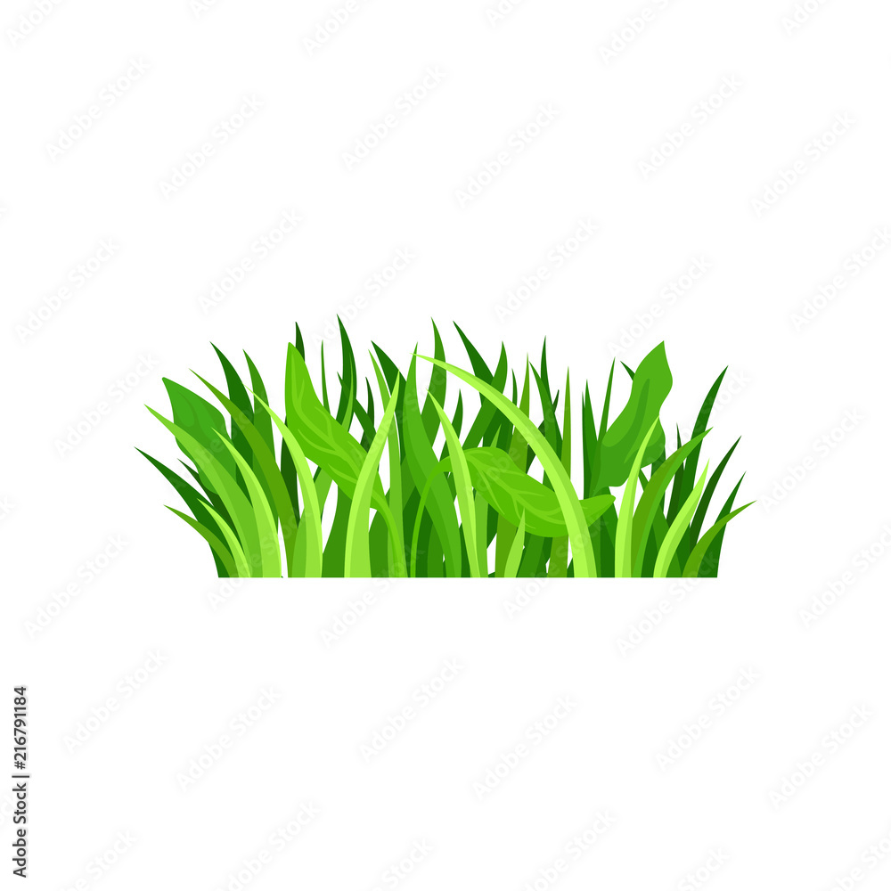 Flat vector icon of bright green fresh grass. Natural border. Decorative element for forest or garden landscape. Nature and flora theme Flat vector icon of bright green fresh grass. Natural border. Decorative element for forest or garden landscape. Nature and flora theme