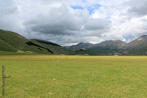 The plateau of Castelluccio di Norcia (Umbria, Italy). On the hill the shape of Italy made by tree.
