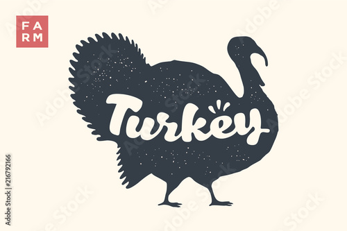Turkey. Lettering, typography. Animal silhoutte turkey and lettering Turkey. Creative graphic design for butcher shop, farmer market, Thanksgiving Day. Vintage poster. Vector Illustration