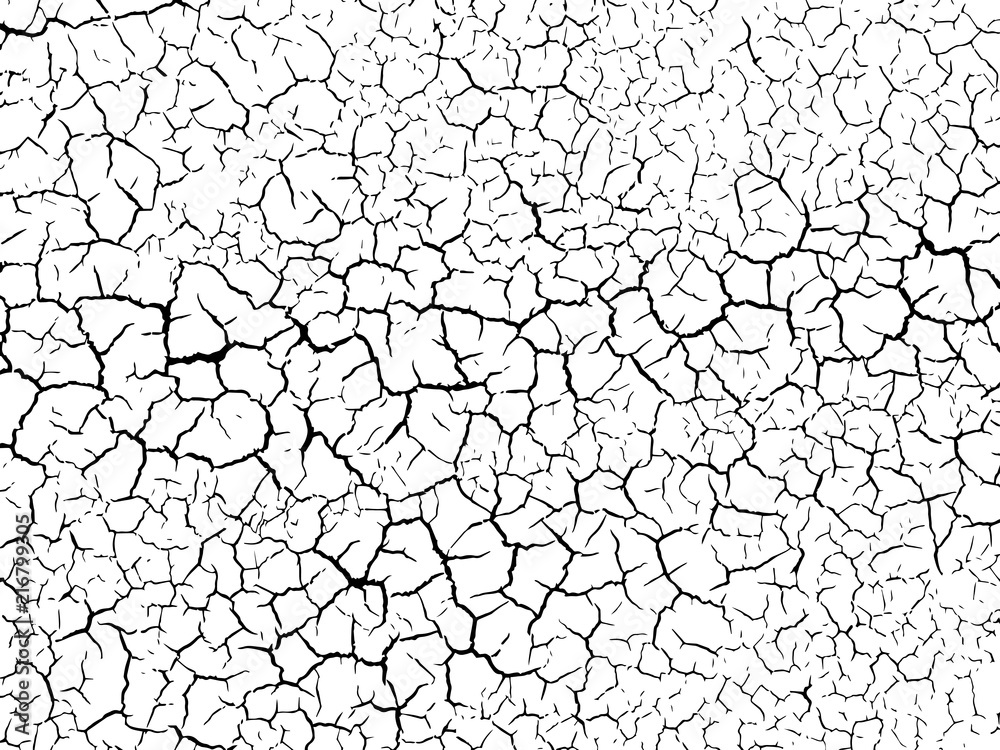 The cracks texture white and black. Vector background.Cracked earth. Structure of cracking. Cracks in dry surface soil texture. - obrazy, fototapety, plakaty 