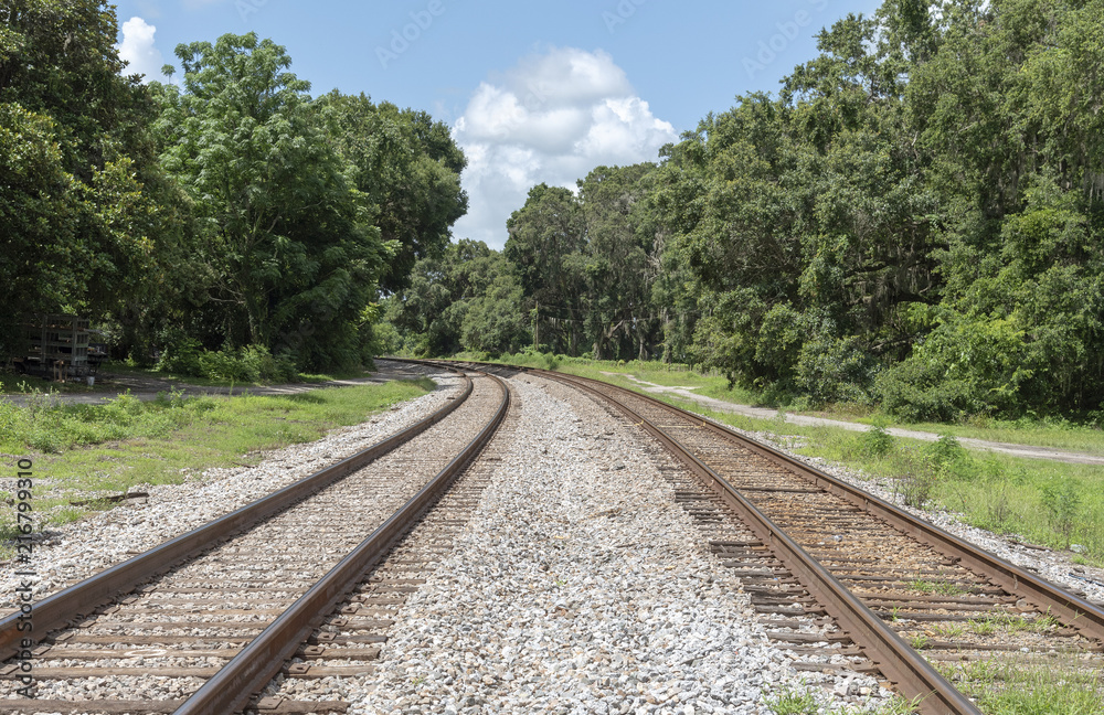 Fototapeta premium Summerfield, Florida, USA, 2018. Railroad signals and track passing through North Florida countryside.