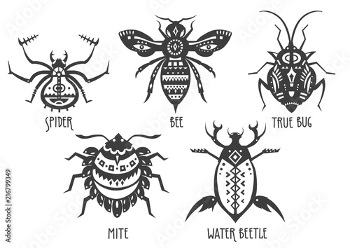 Vector illustrations of spider, bee, true bug, mite, water beetle decorated with patterns.