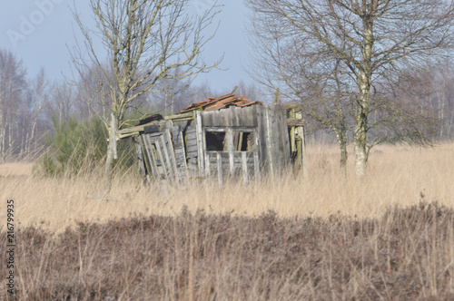 Das zerfallene, kleine und verlassene Holzhaus im Rehdener Geestmoor photo