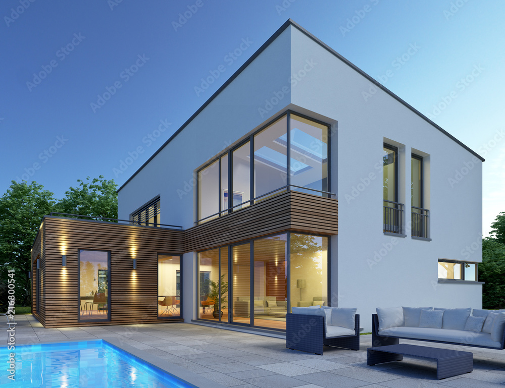 Haus mit Pultdach P2 Haus mit Pultdach P2