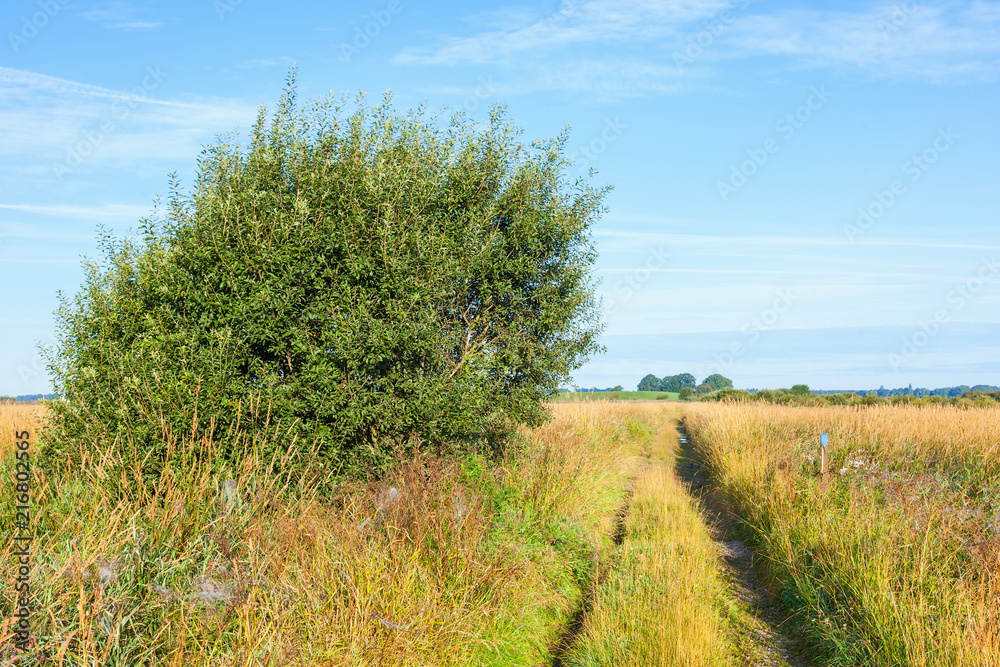 Fototapeta premium Dirt road