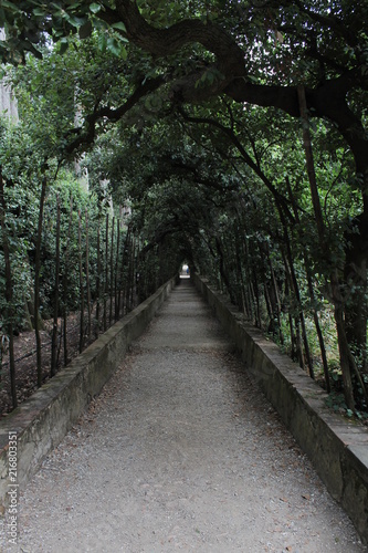 Piti Palace Garden Florence