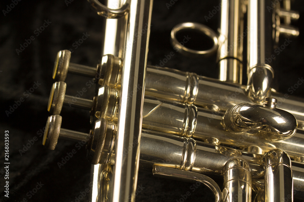 Obraz premium Goldene Trompete