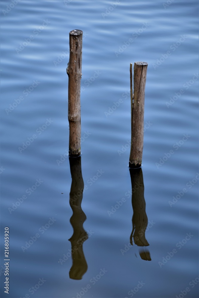 Reflection of two wood sticks in the water Reflection of two wood sticks in the water