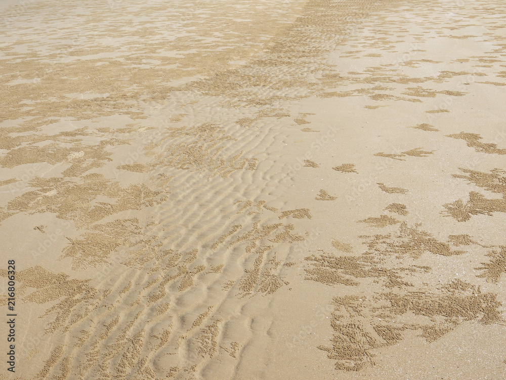 Obraz premium Sand Texture. Brown sand. Background from fine sand. Sand background
