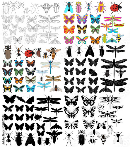 set of insects, beetles, butterflies, dragonflies