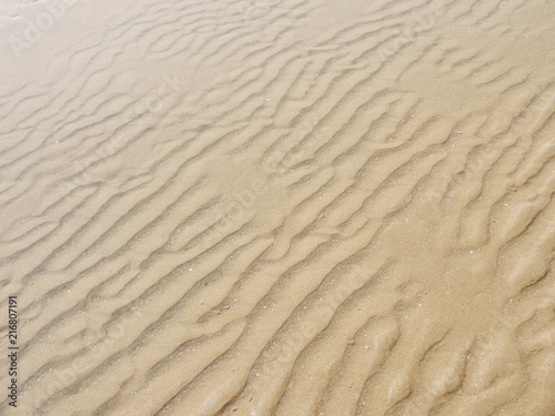 Sand texture.Dented wave of the blow of the wind