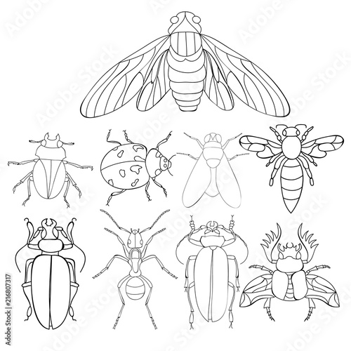 set of insects, beetles, book coloring page