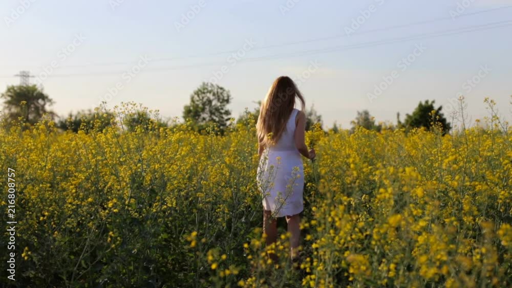 Beautiful girl in a white dress strolls along the flower field Beautiful girl in a white dress strolls along the flower field