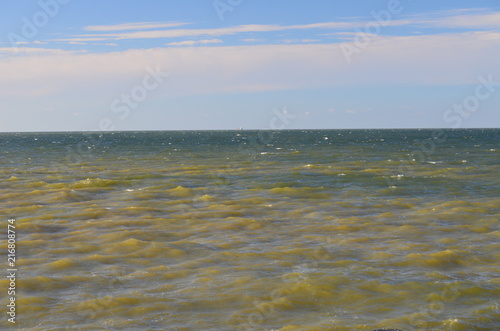 Sinice w Morzu Bałtyckim latem, Pomorze/Cyanobacteria in The Baltic Sea by summer time, Pomerania, Poland