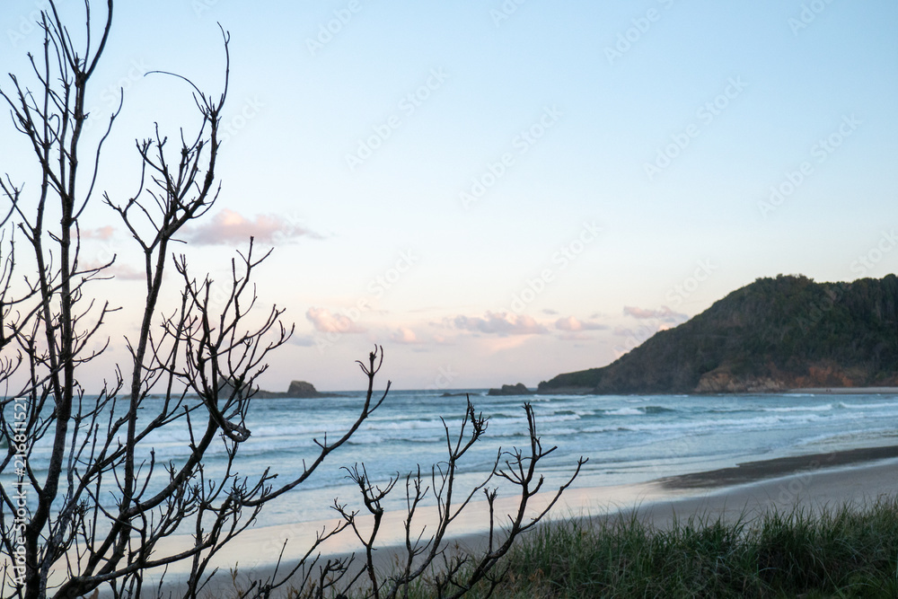 Beach meets mountain and bush