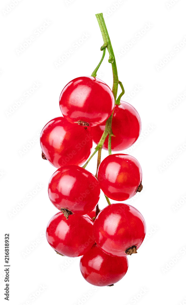 Red currant isolated on white background. Clipping path