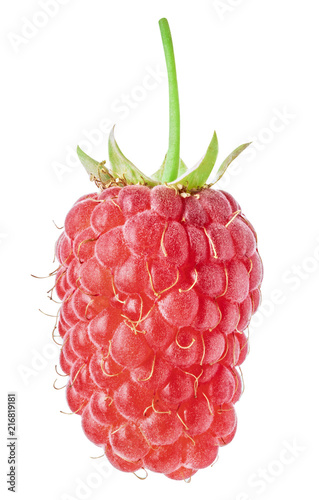 Fresh raspberry isolated on white background. Clipping path
