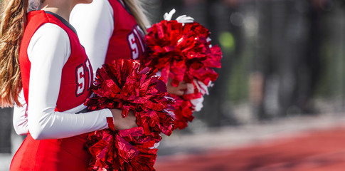 Cheerleaders with pompoms during game