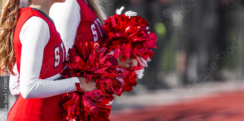 Cheerleaders with pompoms during game photo