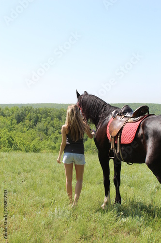 the girl and the stallion