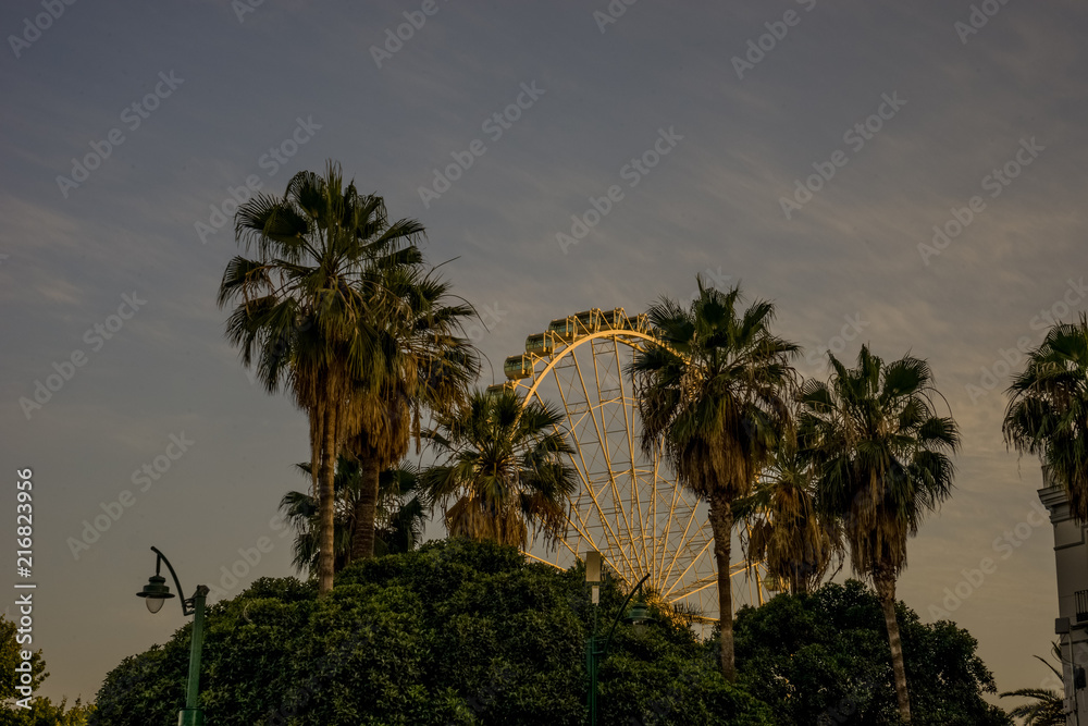 Spain, Malaga, a group of palm trees next to a Giant Wheel, Ferris