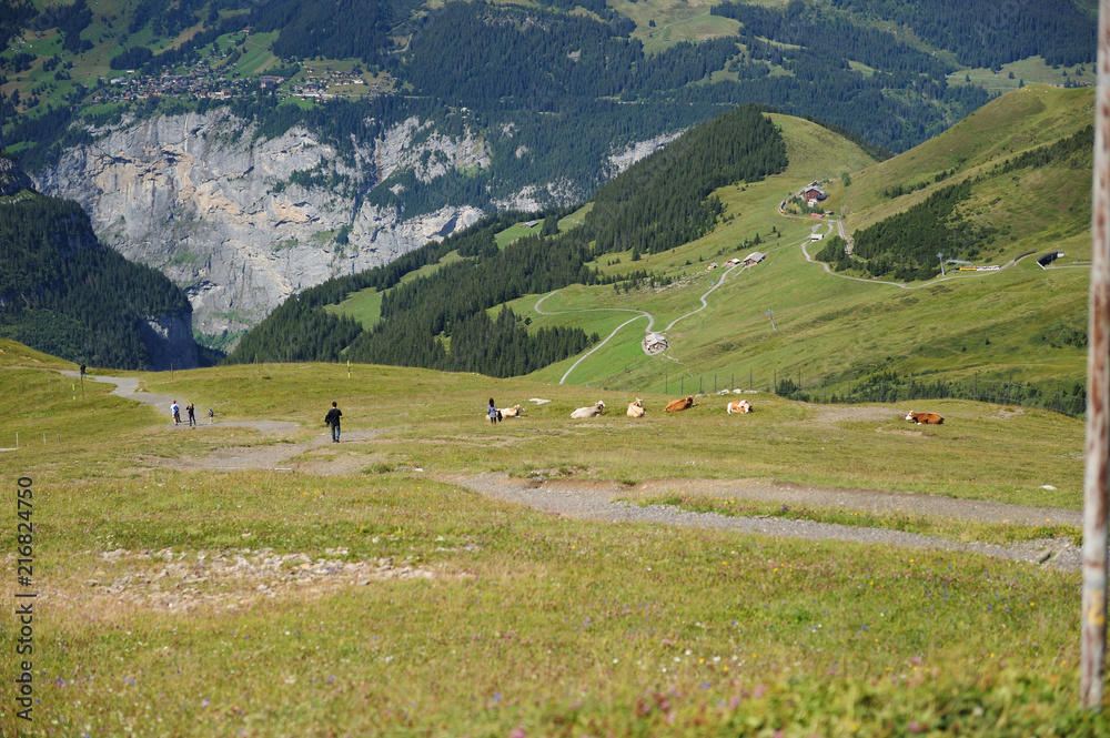 スイスの高原