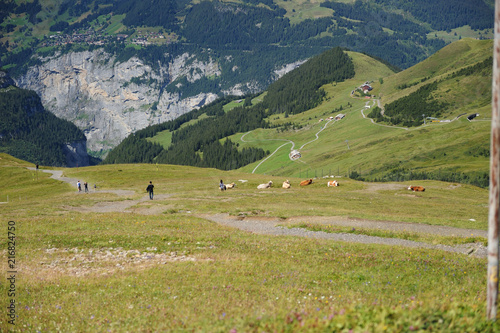 スイスの高原