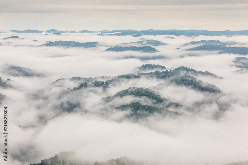 Morning Fog