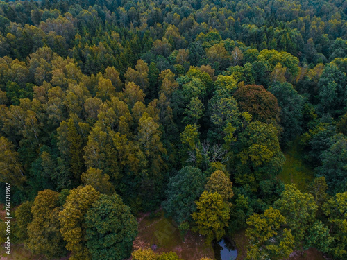 A beautiful view of the forest and fields from above. Drone photography  © boumenjapet