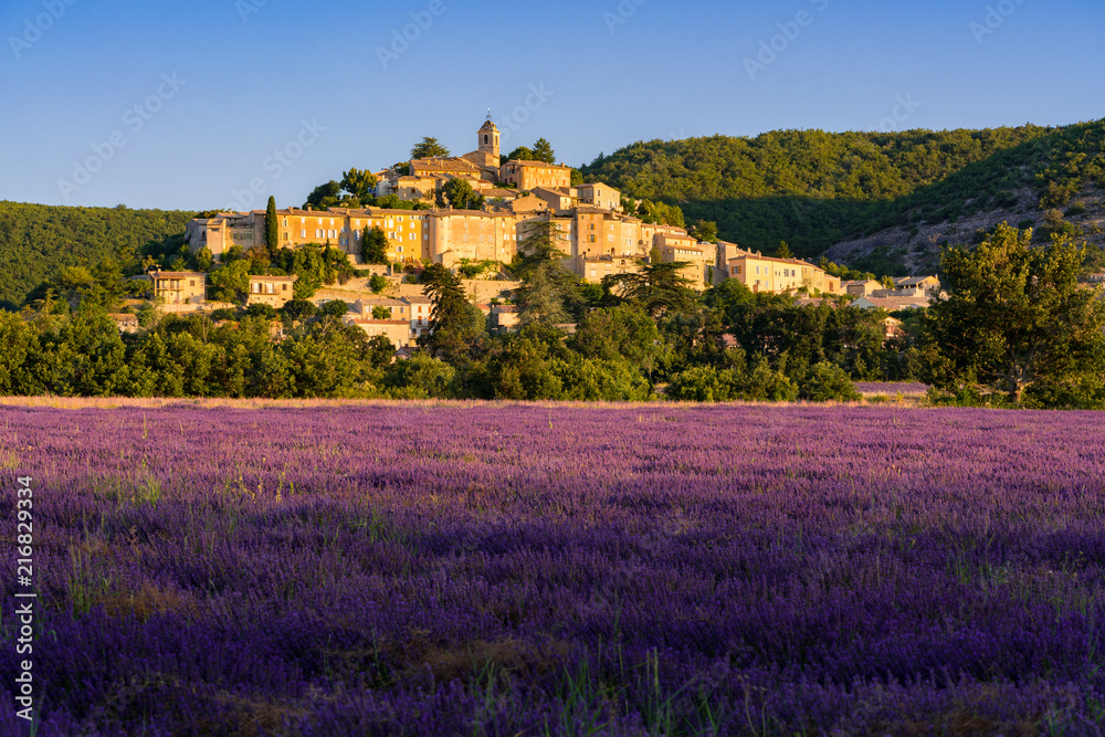 The village of Banon in Provence with lavender fields at sunrise. Summer in the Alpes-de-Hautes-Provence. Alps, France