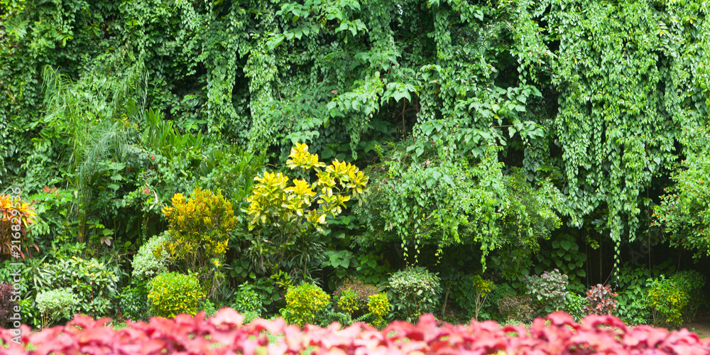 Obraz premium green floral background