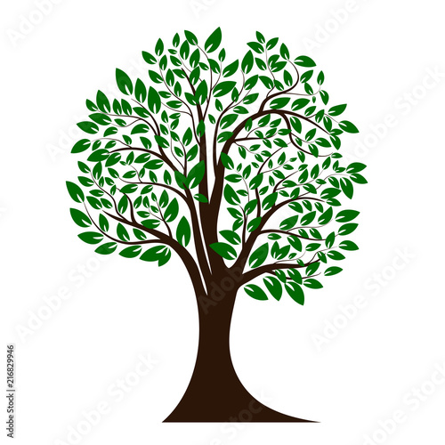 Green tree silhouette. Isolated on white background. Vector