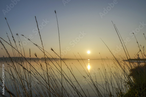 Wetland Sunrise