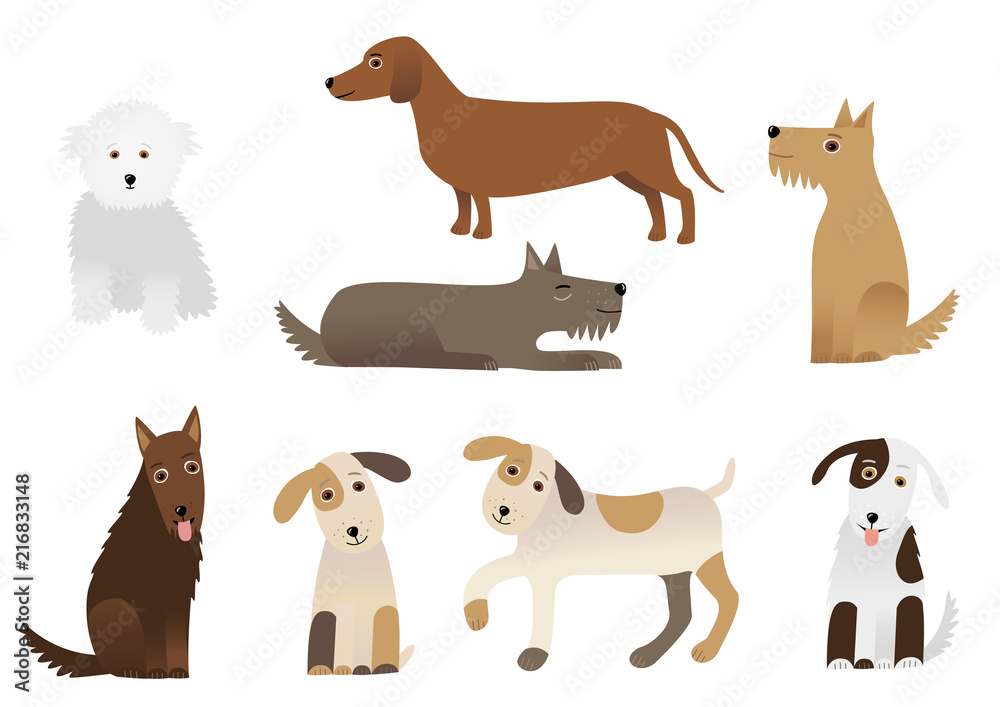 Fototapeta premium Dogs