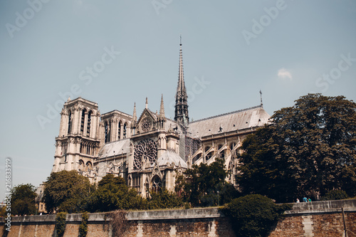Fototapeta Naklejka Na Ścianę i Meble -  Notre Dame de Paris.