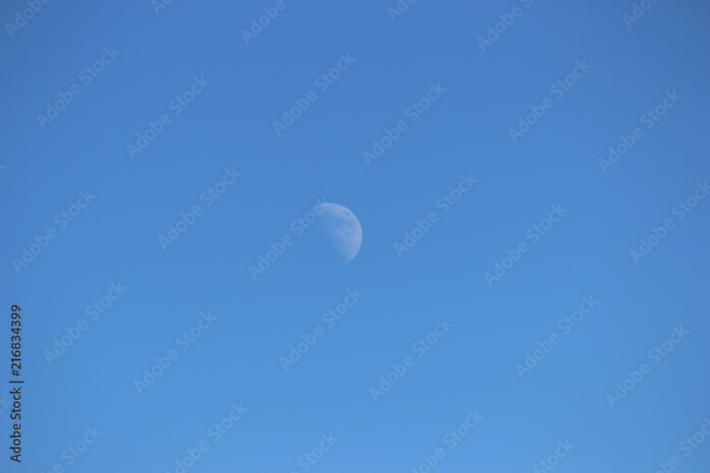 Moon Moon