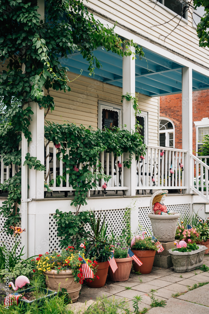 House and garden in Boston, Massachusetts