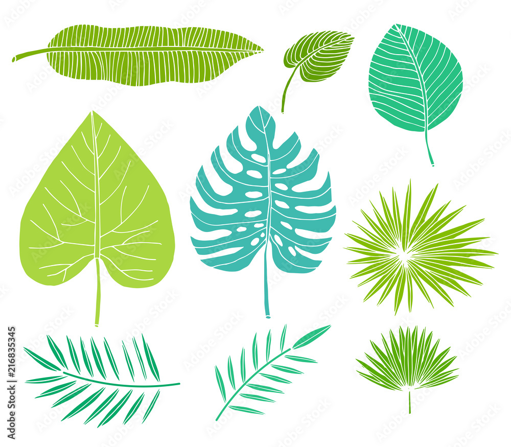 Tropical leaves set, plants isolated on white background. Design element collection isolated on white. Vector illustration.