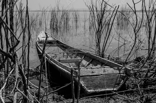 Lonley Boat