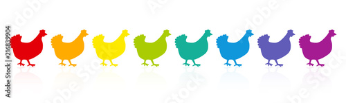 Colorful chicken parade. Rainbow spectrum hens. Colored fowls in single file. Comic illustration on white background.